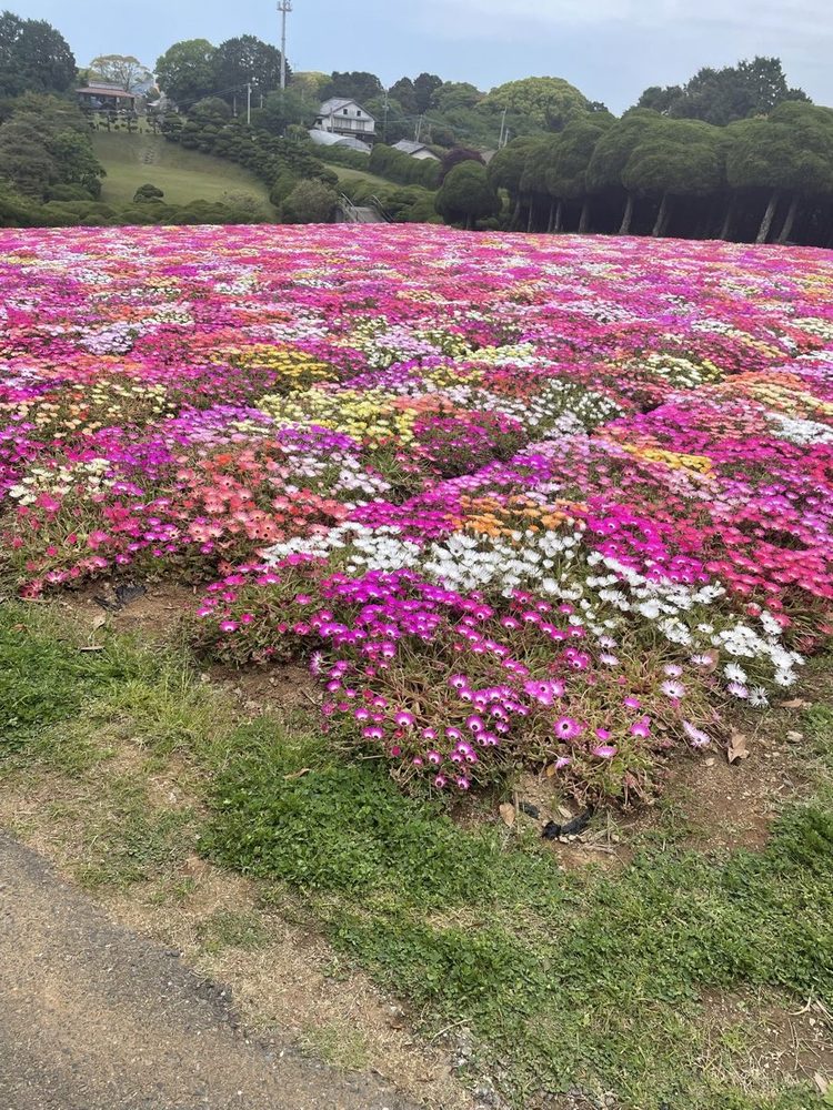 能古島アイランドパーク